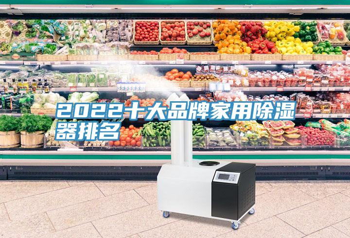 2022十大品牌家用除濕器排名