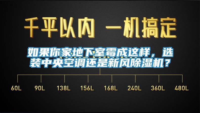 如果你家地下室霉成這樣，選裝中央空調還是新風除濕機？