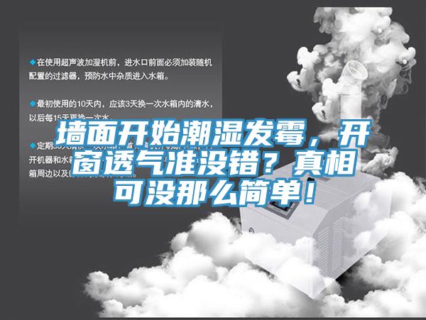 墻面開始潮濕發霉，開窗透氣準沒錯？真相可沒那么簡單！