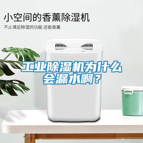 工業除濕機為什么會漏水啊？