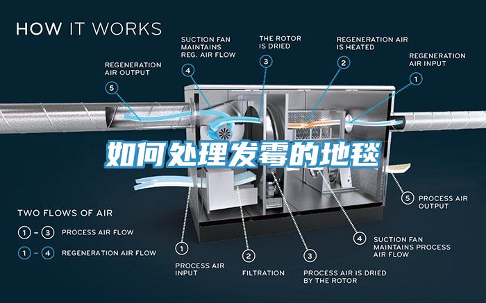 如何處理發(fā)霉的地毯