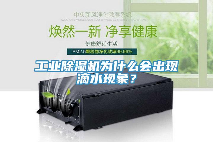 工業除濕機為什么會出現滴水現象？