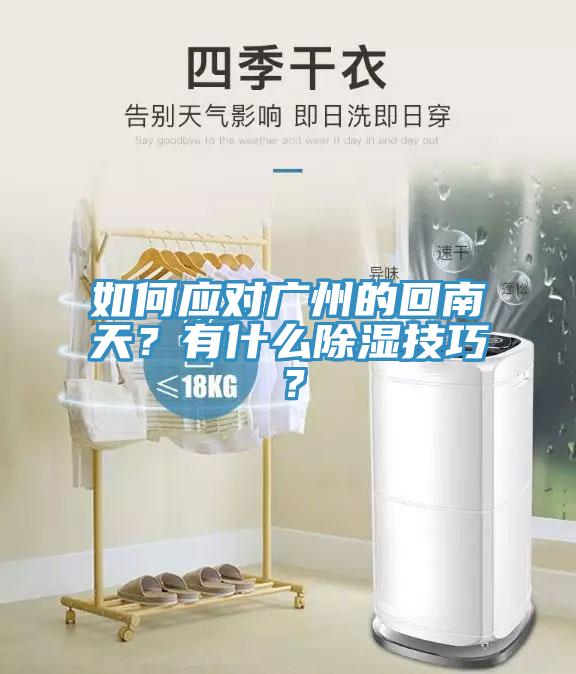 如何應(yīng)對廣州的回南天？有什么除濕技巧？