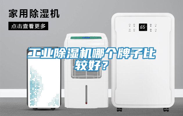 工業除濕機哪個牌子比較好？