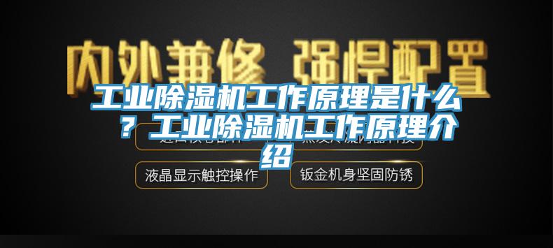 工業(yè)除濕機(jī)工作原理是什么 ？工業(yè)除濕機(jī)工作原理介紹