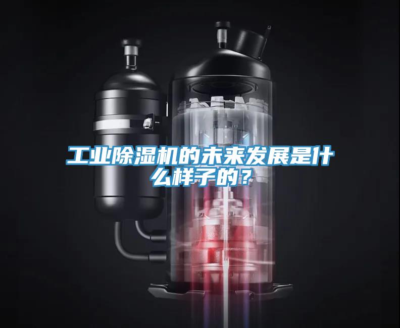 工業(yè)除濕機的未來發(fā)展是什么樣子的？