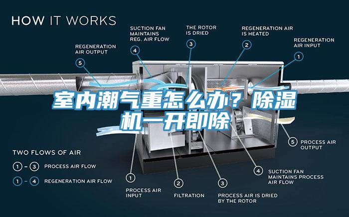 室內(nèi)潮氣重怎么辦？除濕機(jī)一開即除