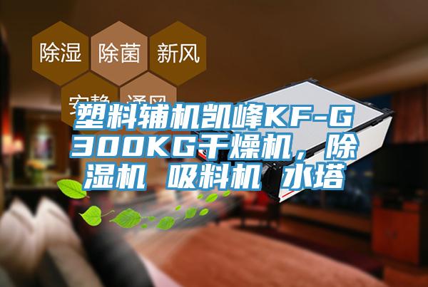 塑料輔機(jī)凱峰KF-G300KG干燥機(jī)，除濕機(jī) 吸料機(jī) 水塔