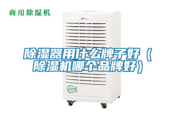 除濕器用什么牌子好（除濕機哪個品牌好）