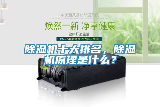 除濕機十大排名，除濕機原理是什么？