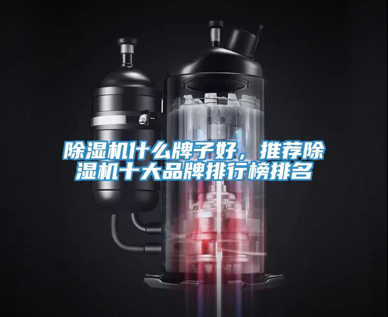 除濕機(jī)什么牌子好，推薦除濕機(jī)十大品牌排行榜排名