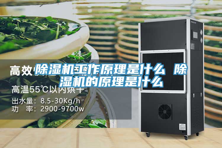 除濕機工作原理是什么 除濕機的原理是什么