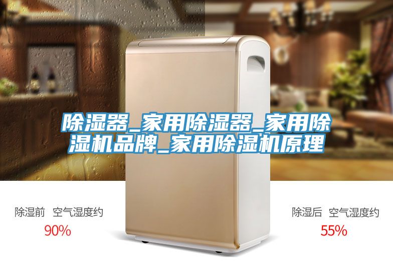 除濕器_家用除濕器_家用除濕機品牌_家用除濕機原理