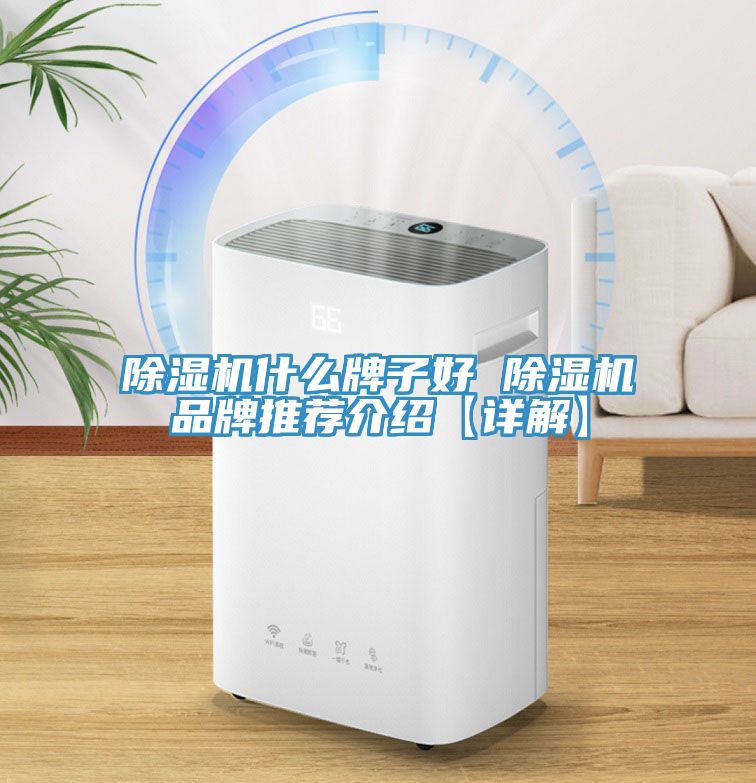 除濕機(jī)什么牌子好 除濕機(jī)品牌推薦介紹【詳解】