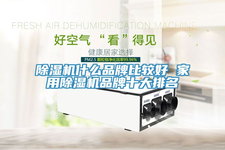 除濕機(jī)什么品牌比較好 家用除濕機(jī)品牌十大排名