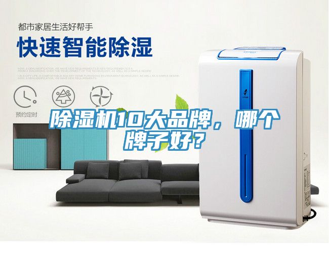 除濕機10大品牌，哪個牌子好？