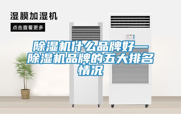 除濕機(jī)什么品牌好—除濕機(jī)品牌的五大排名情況