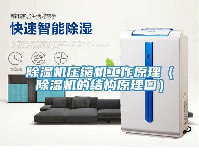 除濕機壓縮機工作原理（除濕機的結構原理圖）