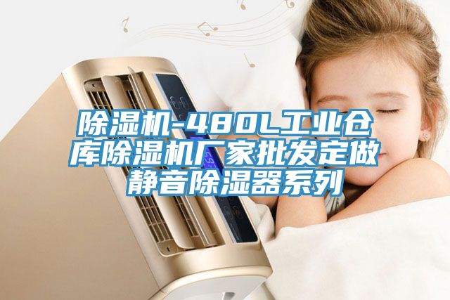 除濕機-480L工業倉庫除濕機廠家批發定做 靜音除濕器系列