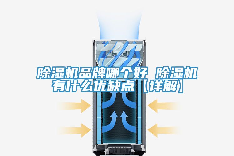 除濕機品牌哪個好 除濕機有什么優(yōu)缺點【詳解】