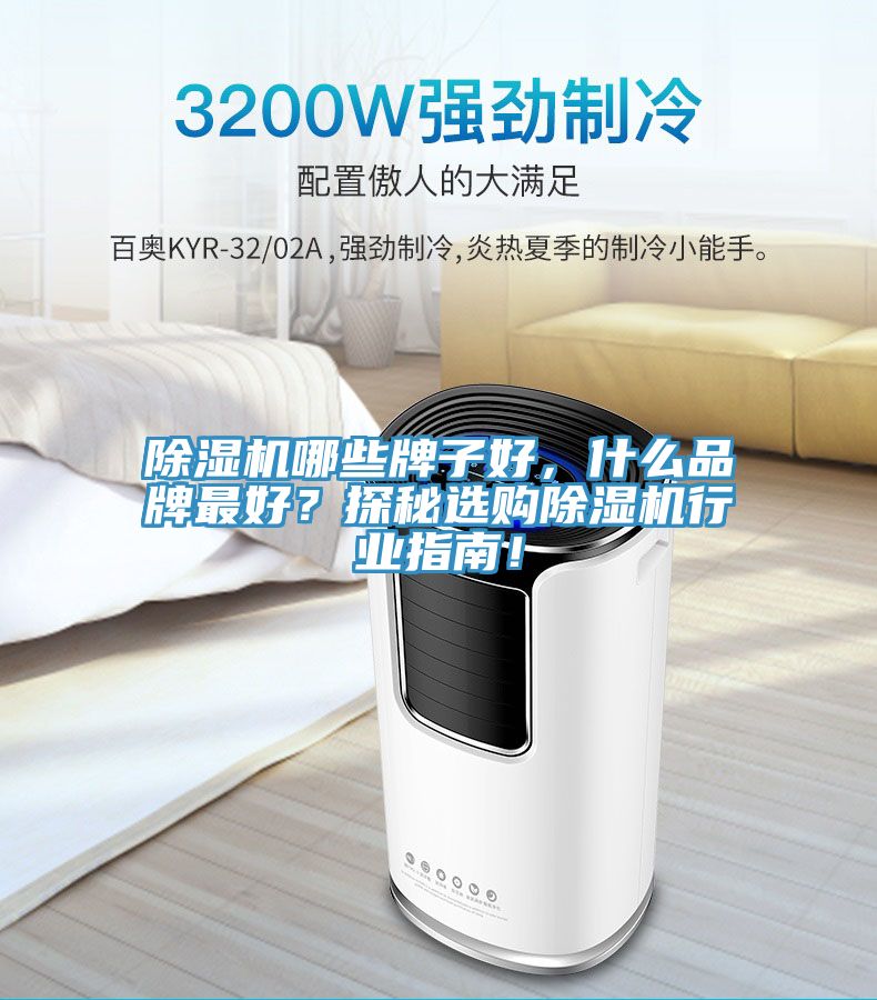 除濕機哪些牌子好，什么品牌最好？探秘選購除濕機行業指南！