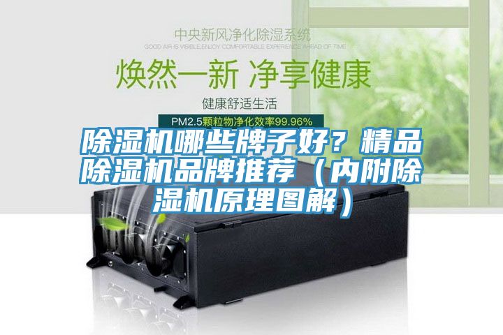 除濕機哪些牌子好？精品除濕機品牌推薦（內附除濕機原理圖解）