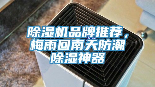 除濕機品牌推薦，梅雨回南天防潮除濕神器