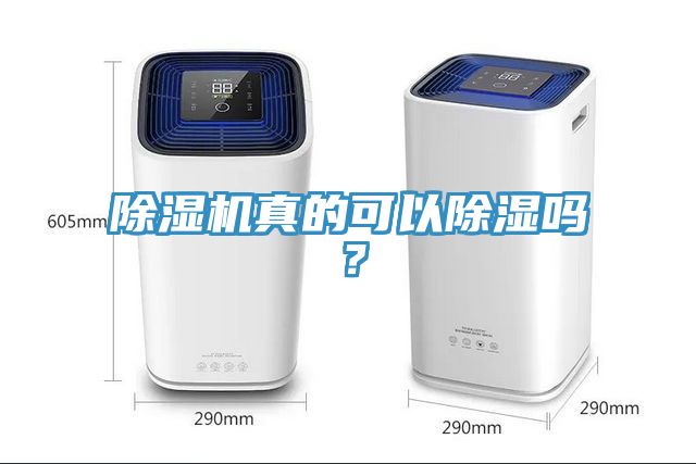 除濕機(jī)真的可以除濕嗎？