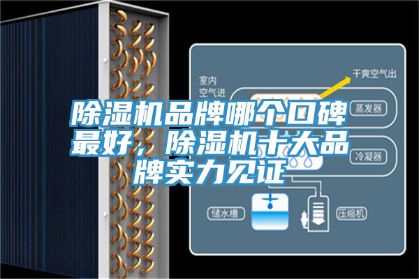 除濕機品牌哪個口碑最好，除濕機十大品牌實力見證