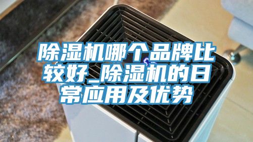 除濕機哪個品牌比較好_除濕機的日常應用及優勢