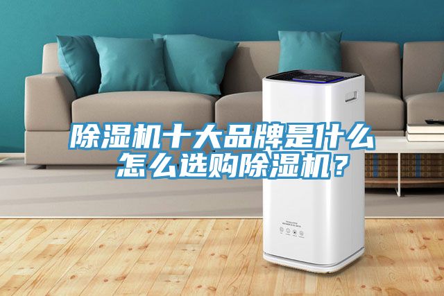 除濕機十大品牌是什么 怎么選購除濕機？