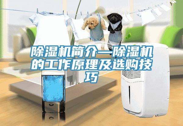 除濕機(jī)簡(jiǎn)介—除濕機(jī)的工作原理及選購(gòu)技巧