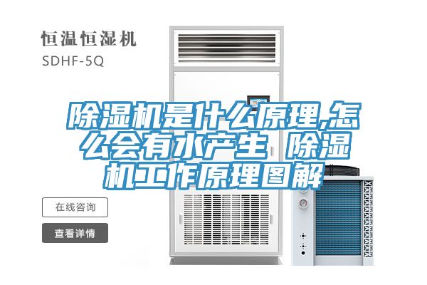 除濕機是什么原理,怎么會有水產生 除濕機工作原理圖解