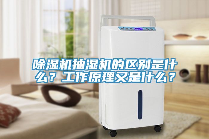 除濕機抽濕機的區別是什么？工作原理又是什么？