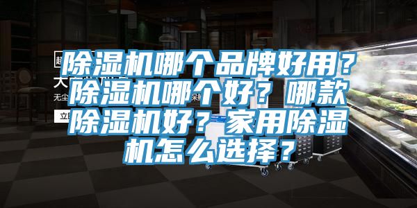 除濕機哪個品牌好用？除濕機哪個好？哪款除濕機好？家用除濕機怎么選擇？