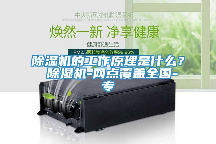 除濕機的工作原理是什么？ 除濕機-網點覆蓋全國-專