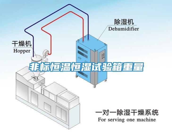 非標(biāo)恒溫恒濕試驗(yàn)箱重量