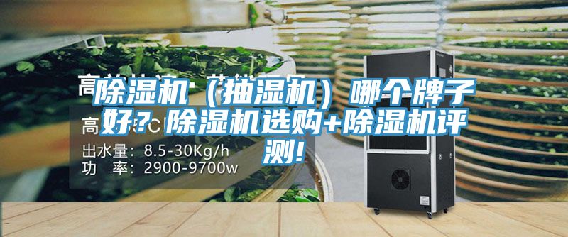 除濕機（抽濕機）哪個牌子好？除濕機選購+除濕機評測!