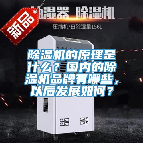 除濕機的原理是什么？國內的除濕機品牌有哪些，以后發展如何？