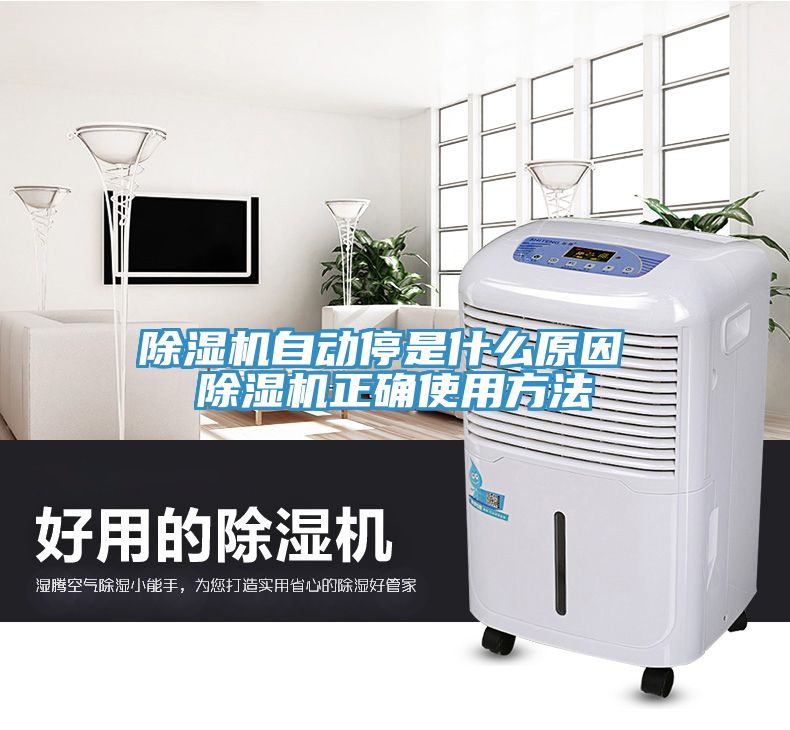 除濕機(jī)自動(dòng)停是什么原因 除濕機(jī)正確使用方法