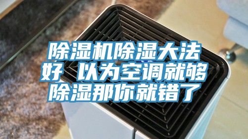 除濕機除濕大法好 以為空調就夠除濕那你就錯了