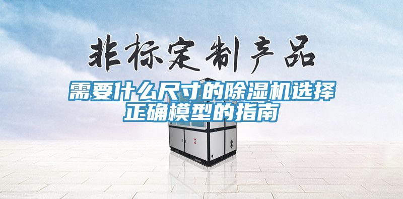 需要什么尺寸的除濕機選擇正確模型的指南