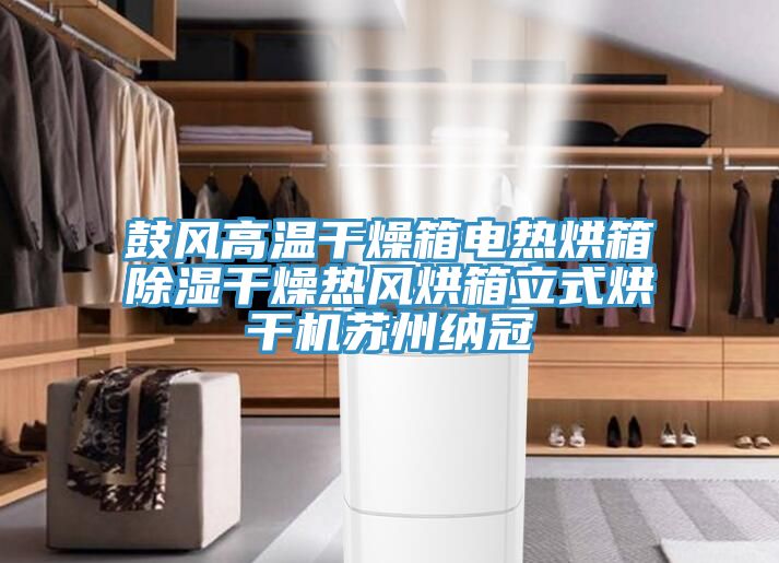 鼓風高溫干燥箱電熱烘箱除濕干燥熱風烘箱立式烘干機蘇州納冠