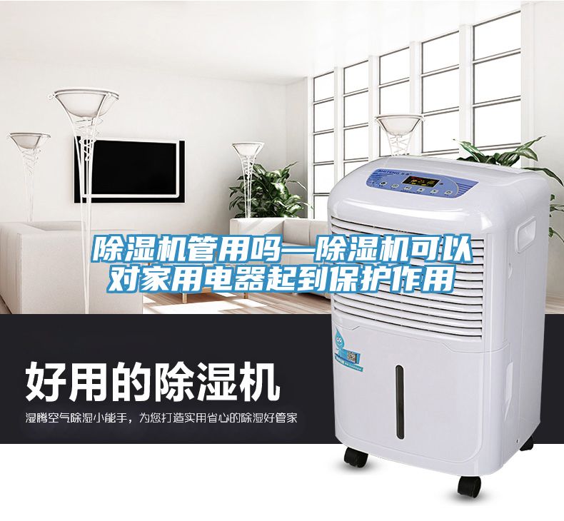 除濕機管用嗎—除濕機可以對家用電器起到保護作用