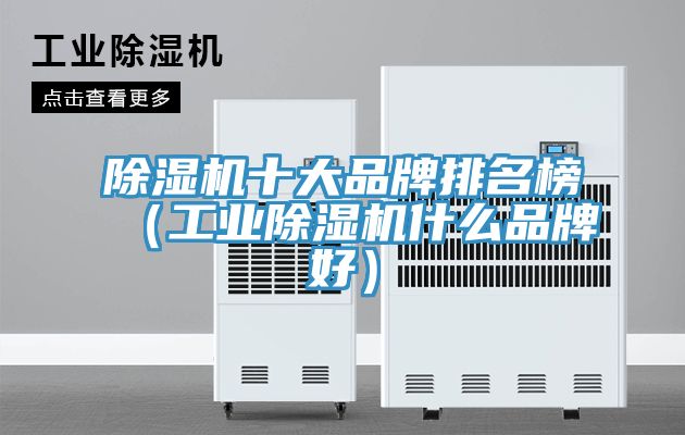 除濕機十大品牌排名榜（工業除濕機什么品牌好）