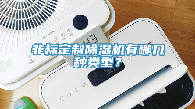 非標(biāo)定制除濕機(jī)有哪幾種類型？