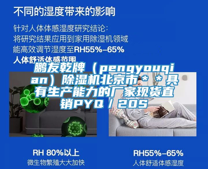 鵬友乾牌（pengyouqian）除濕機北京市＊＊具有生產能力的廠家現貨直銷PYQ／20S