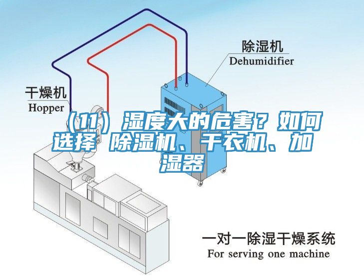 （11）濕度大的危害？如何選擇 除濕機、干衣機、加濕器