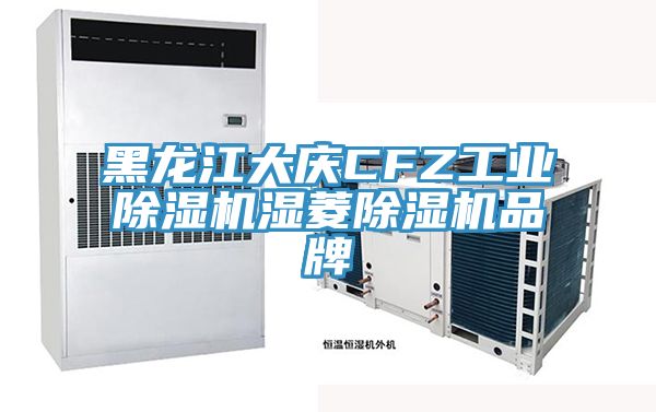 黑龍江大慶CFZ工業除濕機濕菱除濕機品牌