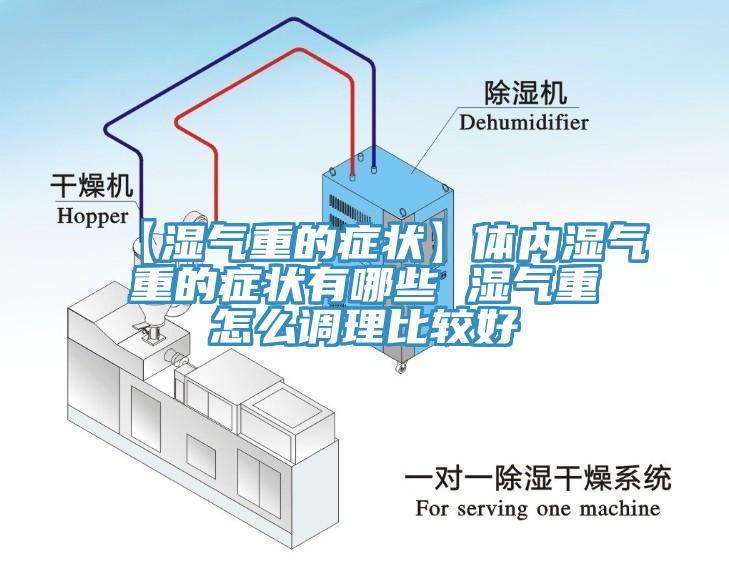 【濕氣重的癥狀】體內濕氣重的癥狀有哪些 濕氣重怎么調理比較好